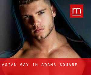 Asian Gay in Adams Square