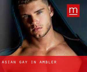 Asian Gay in Ambler