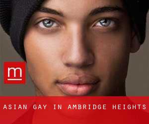 Asian Gay in Ambridge Heights