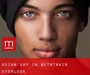 Asian Gay in Betatakin Overlook