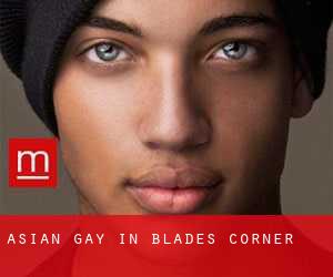 Asian Gay in Blades Corner