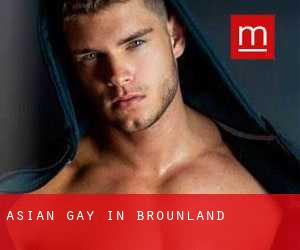 Asian Gay in Brounland