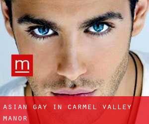 Asian Gay in Carmel Valley Manor