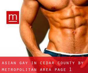 Asian Gay in Cedar County by metropolitan area - page 1