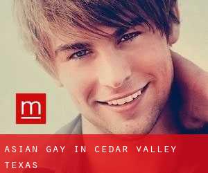 Asian Gay in Cedar Valley (Texas)