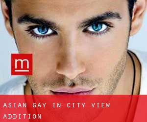 Asian Gay in City View Addition