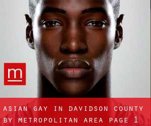 Asian Gay in Davidson County by metropolitan area - page 1