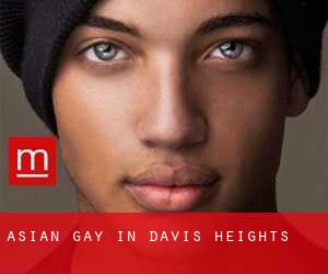 Asian Gay in Davis Heights