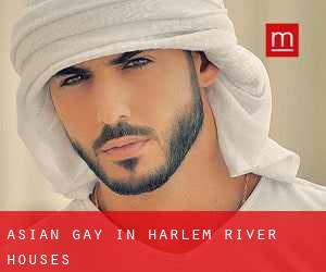 Asian Gay in Harlem River Houses