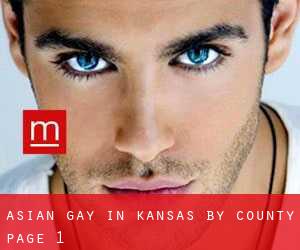 Asian Gay in Kansas by County - page 1