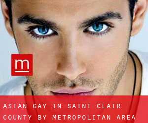 Asian Gay in Saint Clair County by metropolitan area - page 1