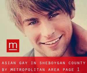 Asian Gay in Sheboygan County by metropolitan area - page 1
