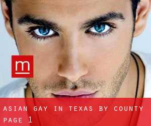Asian Gay in Texas by County - page 1