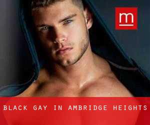 Black Gay in Ambridge Heights
