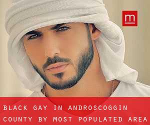 Black Gay in Androscoggin County by most populated area - page 2
