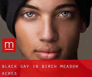Black Gay in Birch Meadow Acres
