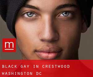 Black Gay in Crestwood (Washington, D.C.)