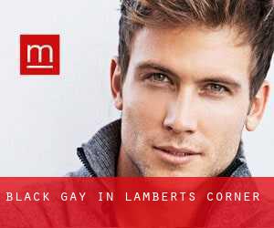 Black Gay in Lamberts Corner