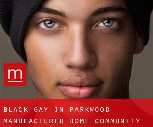 Black Gay in Parkwood Manufactured Home Community
