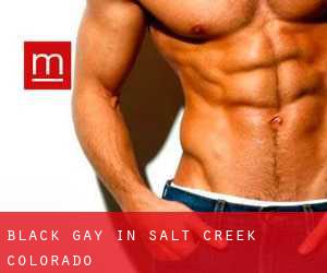 Black Gay in Salt Creek (Colorado)
