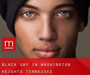 Black Gay in Washington Heights (Tennessee)