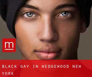 Black Gay in Wedgewood (New York)