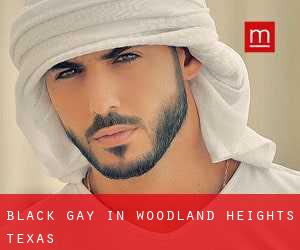 Black Gay in Woodland Heights (Texas)