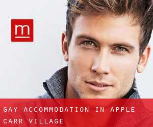 Gay Accommodation in Apple Carr Village