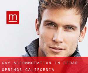 Gay Accommodation in Cedar Springs (California)