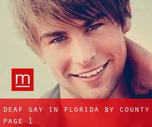 Deaf Gay in Florida by County - page 1