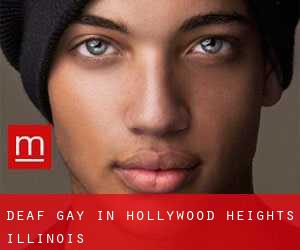 Deaf Gay in Hollywood Heights (Illinois)