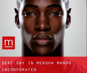 Deaf Gay in Meadow Manor Incorporated