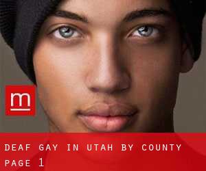 Deaf Gay in Utah by County - page 1