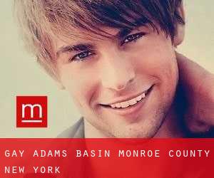 gay Adams Basin (Monroe County, New York)