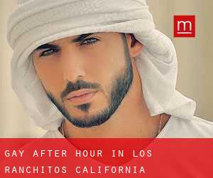 Gay After Hour in Los Ranchitos (California)