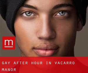 Gay After Hour in Vacarro Manor