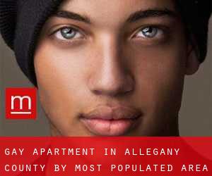 Gay Apartment in Allegany County by most populated area - page 1