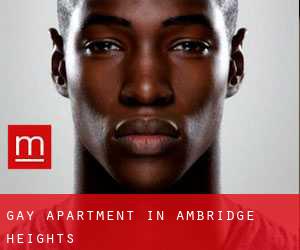 Gay Apartment in Ambridge Heights