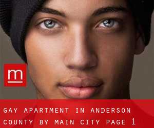 Gay Apartment in Anderson County by main city - page 1