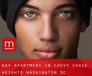 Gay Apartment in Chevy Chase Heights (Washington, D.C.)