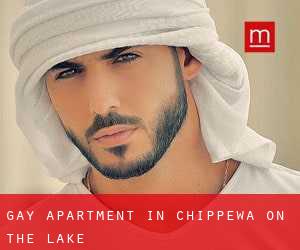Gay Apartment in Chippewa-on-the-Lake