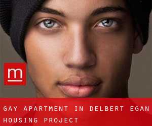 Gay Apartment in Delbert Egan Housing Project