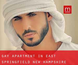 Gay Apartment in East Springfield (New Hampshire)