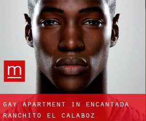 Gay Apartment in Encantada-Ranchito-El Calaboz