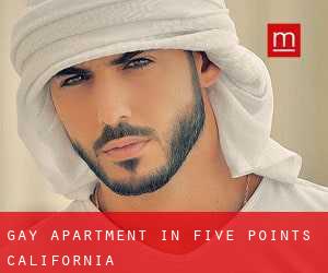Gay Apartment in Five Points (California)