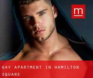 Gay Apartment in Hamilton Square