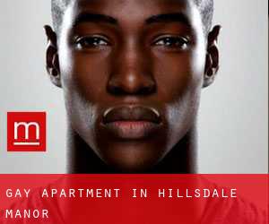 Gay Apartment in Hillsdale Manor