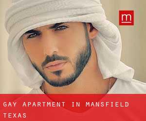 Gay Apartment in Mansfield (Texas)