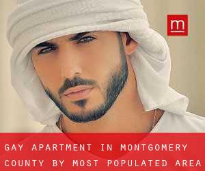 Gay Apartment in Montgomery County by most populated area - page 1