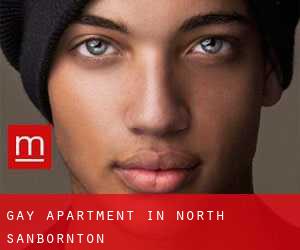 Gay Apartment in North Sanbornton